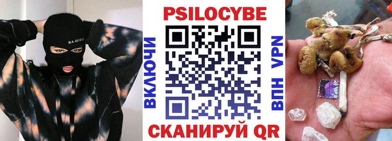 как найти наркотики  Энгельс  даркнет состав  Галлюциногенные грибы Psilocybine cubensis 